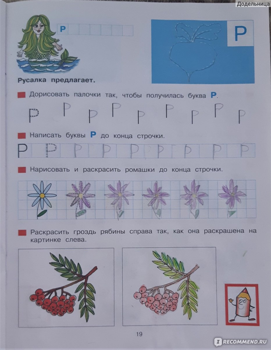 Прописи для дошкольников 5-6 лет. Колесникова Елена Владимировна - «Пропись  для изучения алфавита 5-6 лет Колесниковой довольно хороша и продумана.  Рекомендую смело » | отзывы