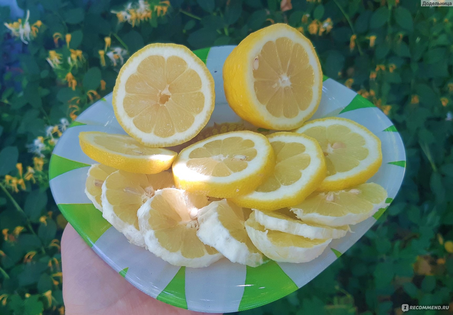 Фрукты Лимон / Citrus limon - «Лимонад с клубникой 🍋🍓 и мятой - супер  простой рецепт! Лимон всесезонное явление: осенью идеален под коньячок,  зимой под чаёк, а вот летом всем зайдет ЛИМОНАД🍋» | отзывы