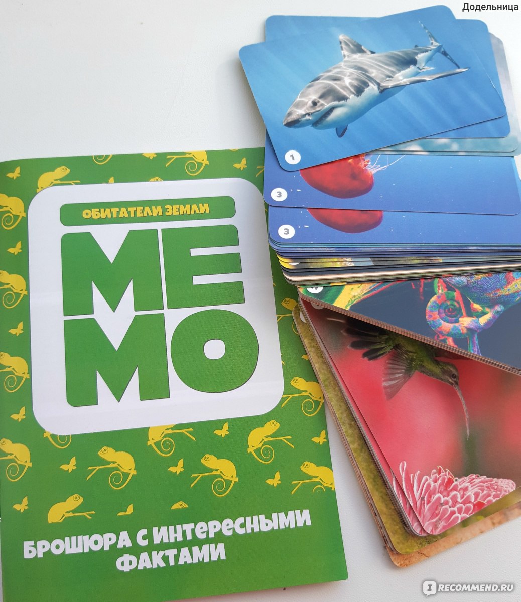 Настольная игра Десятое королевство МЕМО «Обитатели земли» Артикул: 03592 -  «Мемо Обитатели Земли и океана в фотографиях одна их моих хотелок.  Развиваемся играя легко и непринужденно » | отзывы