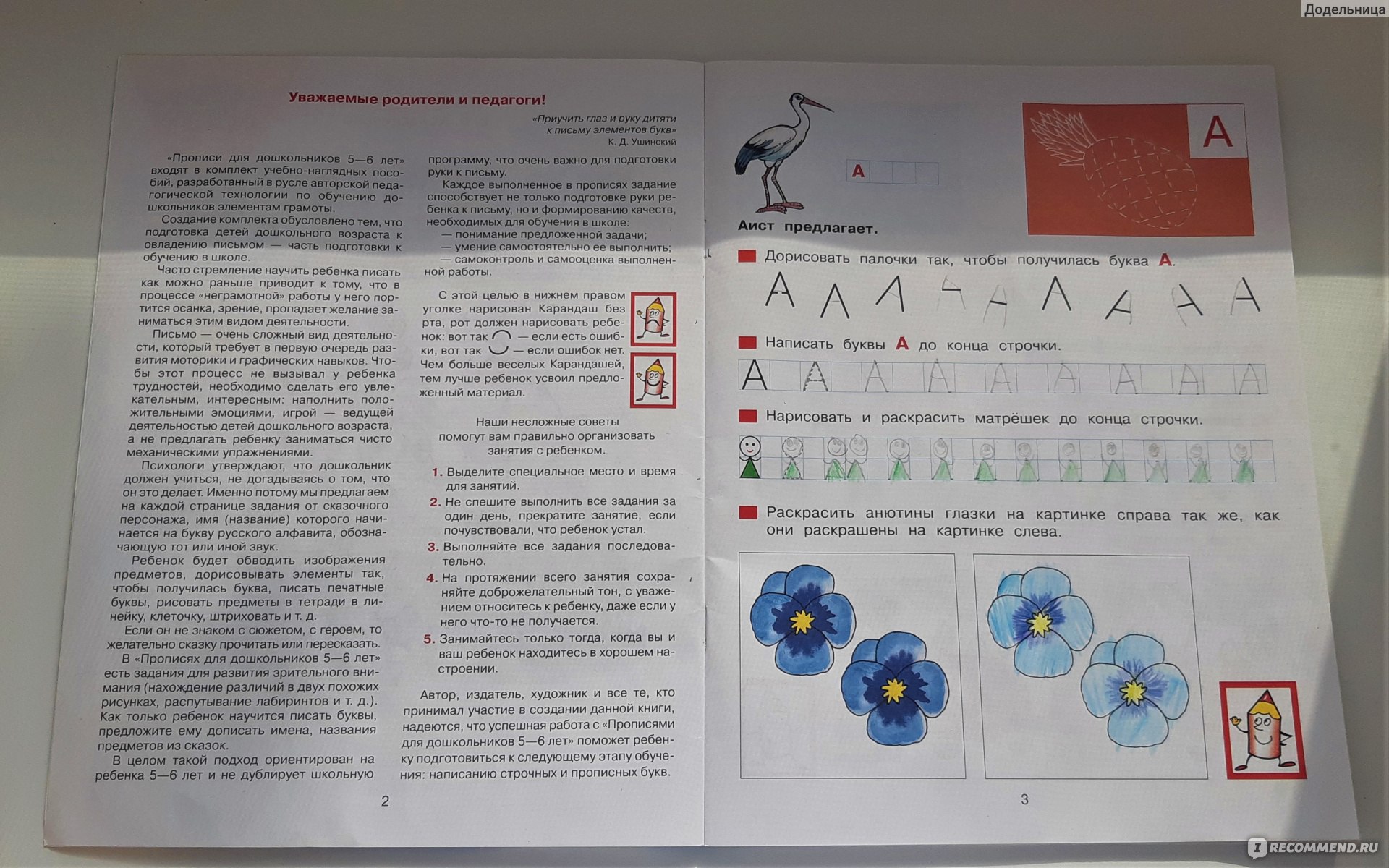 Прописи для дошкольников 5-6 лет. Колесникова Елена Владимировна - «Пропись  для изучения алфавита 5-6 лет Колесниковой довольно хороша и продумана.  Рекомендую смело » | отзывы