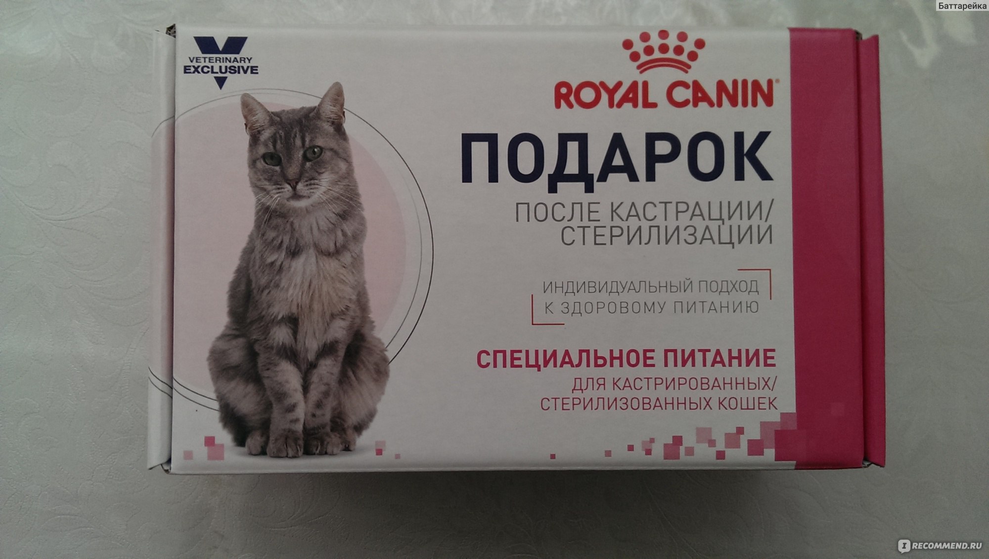 Таблетки после стерилизации. Таблетки для котов после кастрации. Корм для кота после кастрации. Корм для кошки после операции стерилизации.