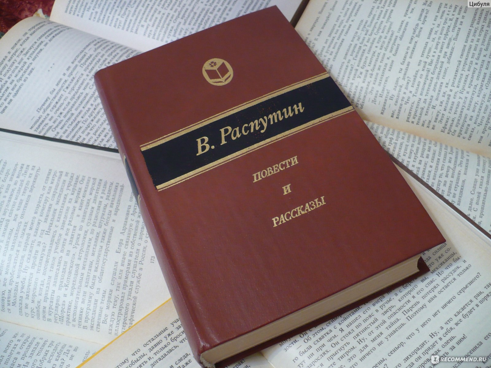 Последний срок. Валентин Распутин - «Прекрасное психологичное произведение  об умирающей деревенской женщине, скоротечности жизни и человеческой  бесчувственности» | отзывы