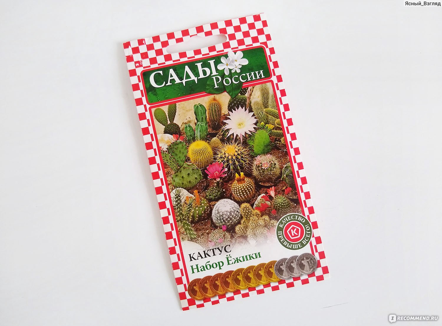 Семена кактусов Сады России
