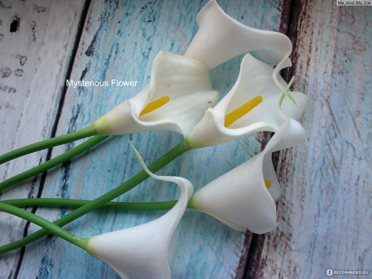 Каллы Aliexpress 5pcs/lot 4 Colors Available Real Touch Lily Calla PVC  Artificial Flower Bouquets Home Wedding Flowers Decoration Bridal Decor -  «Грустные, нежные, изящные... За окном - зима, а на окне -