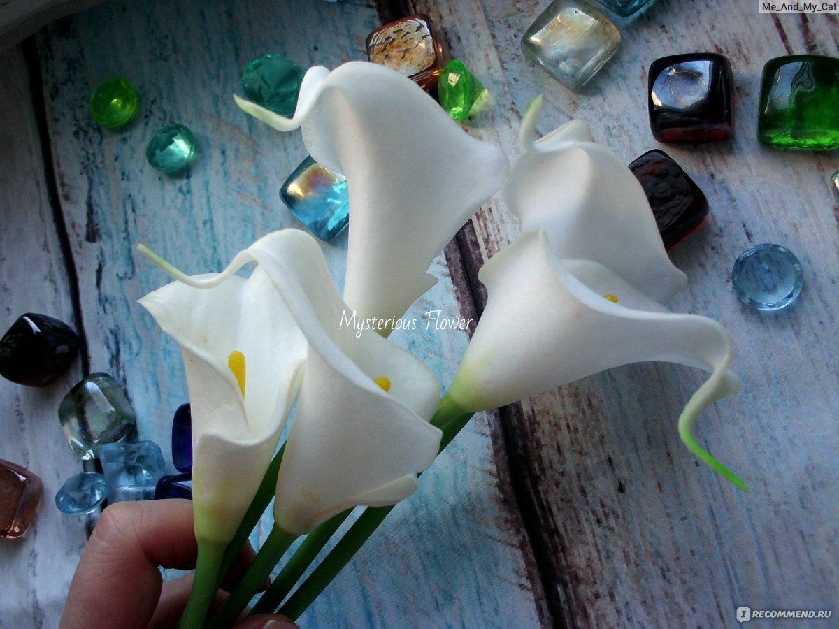 Каллы Aliexpress 5pcs/lot 4 Colors Available Real Touch Lily Calla PVC  Artificial Flower Bouquets Home Wedding Flowers Decoration Bridal Decor -  «Грустные, нежные, изящные... За окном - зима, а на окне -