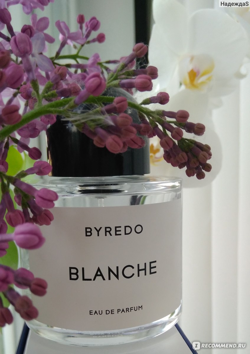 Бланш духи буредо. Byredo Blanche. Byredo Parfums Blanche. Парфюм Байредо Бланш. Духи Бланш Byredo.