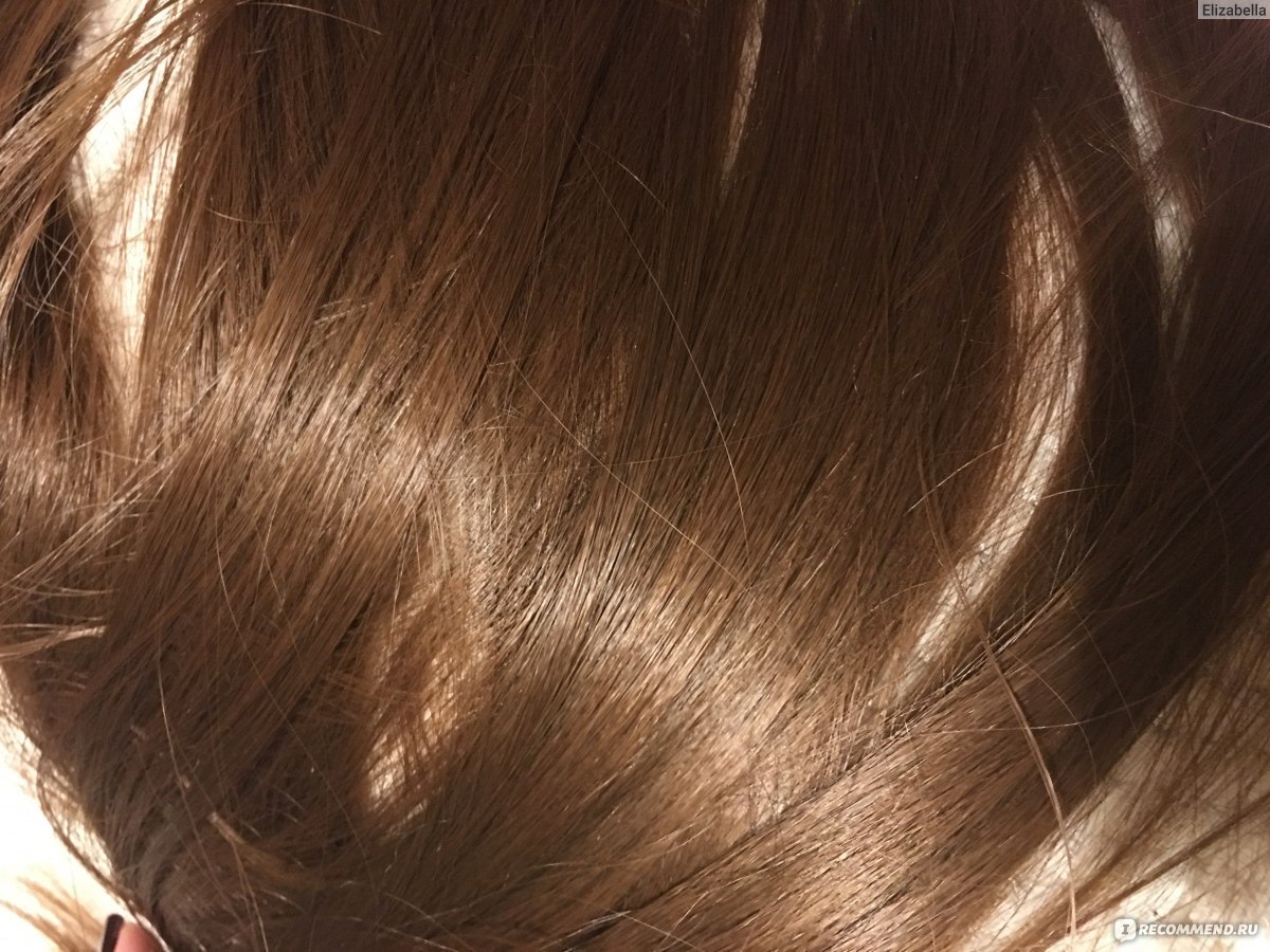 Интенсивное тонирование волос Ammonia Free Londa Professional | Купить в официальном магазине