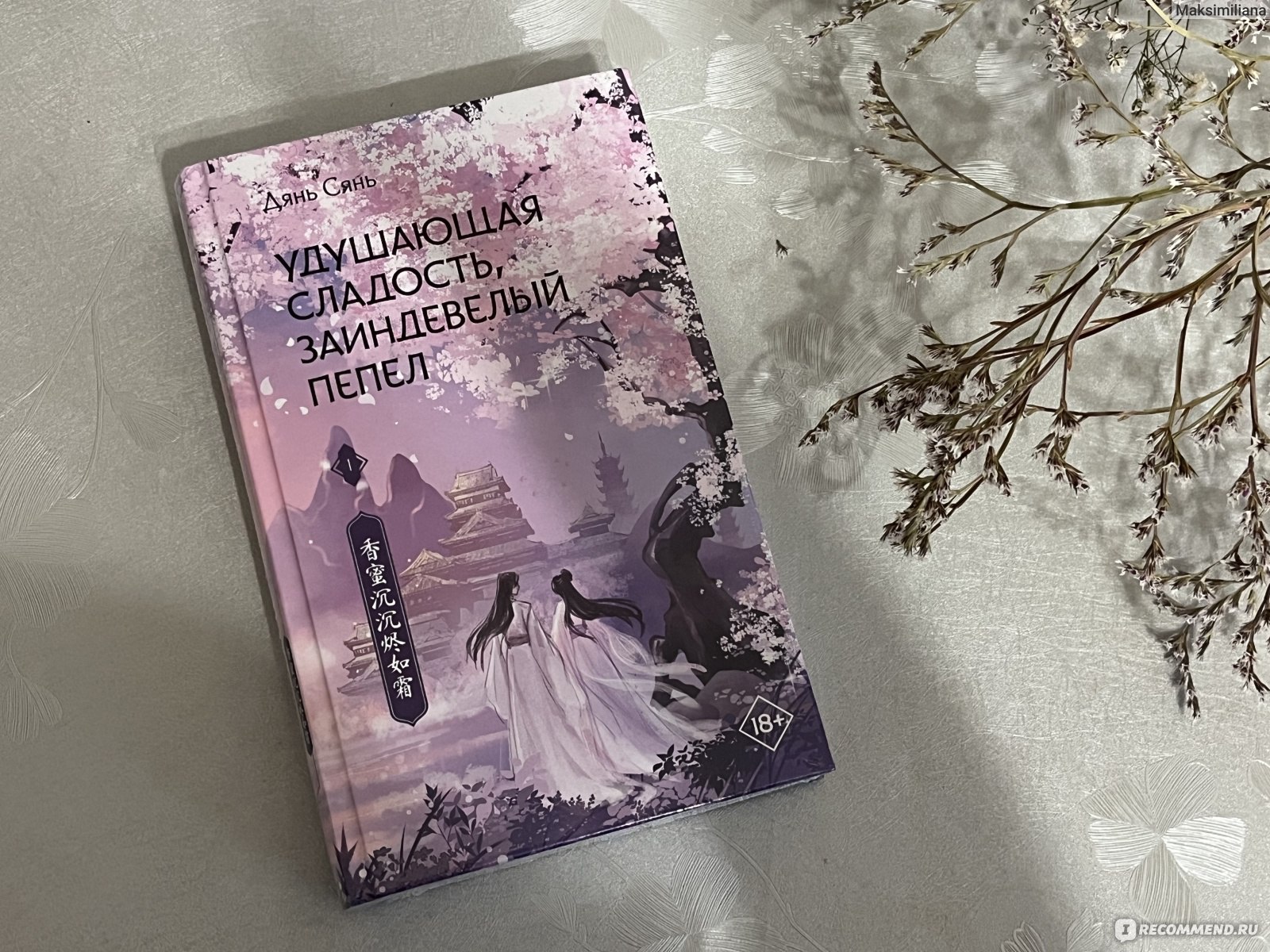 Удушающая сладость, заиндевелый пепел. Дянь Сянь - «История о удушающе  сладкой любви, способной сжечь дотла. По мотивам этой книги вышла одна из  самых популярных китайских дорам.» | отзывы