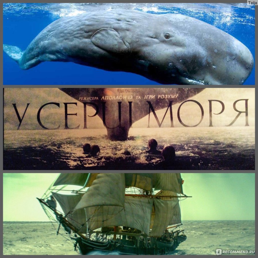 В сердце моря / In the Heart of the Sea (2015, фильм) - «Для любителей  знаменитого Моби Дика - 