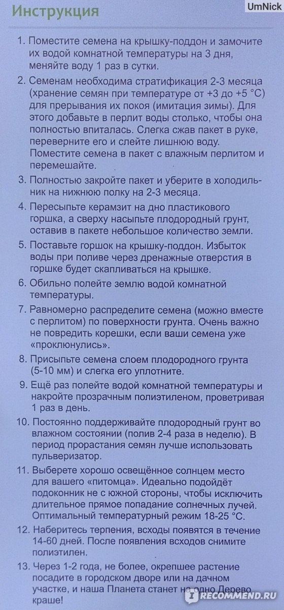 "Вырасти, Дерево!". Набор для выращивания "Кедр сибирский" фото