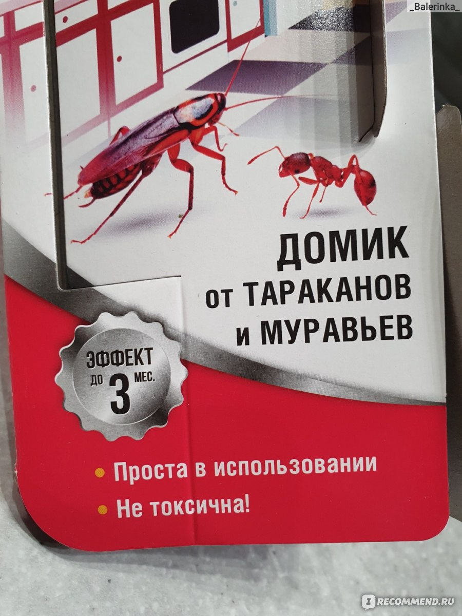 Клеевая ловушка Бдительный страж Домик от тараканов и муравьёв - «Кто-то  покупает домик для кота 🐈‍⬛, чтобы ему было тепло и уютно, а я купила  домик для тараканов 🪳, чтобы они от