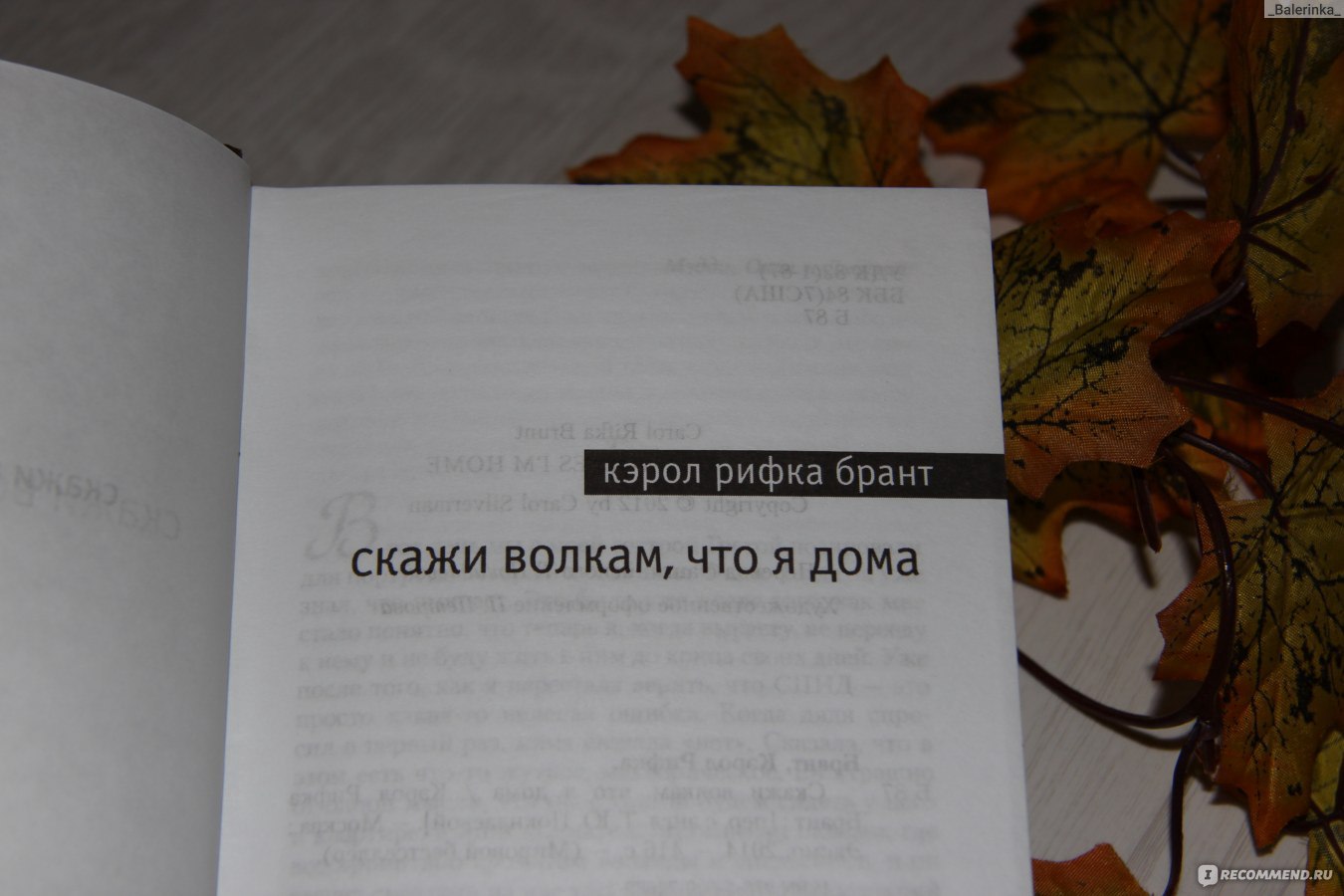 Скажи волкам, что я дома. Кэрол Рифка Брант - «О любви, о чувствах, о  дружбе. Очень жизненно, но не цепляет» | отзывы