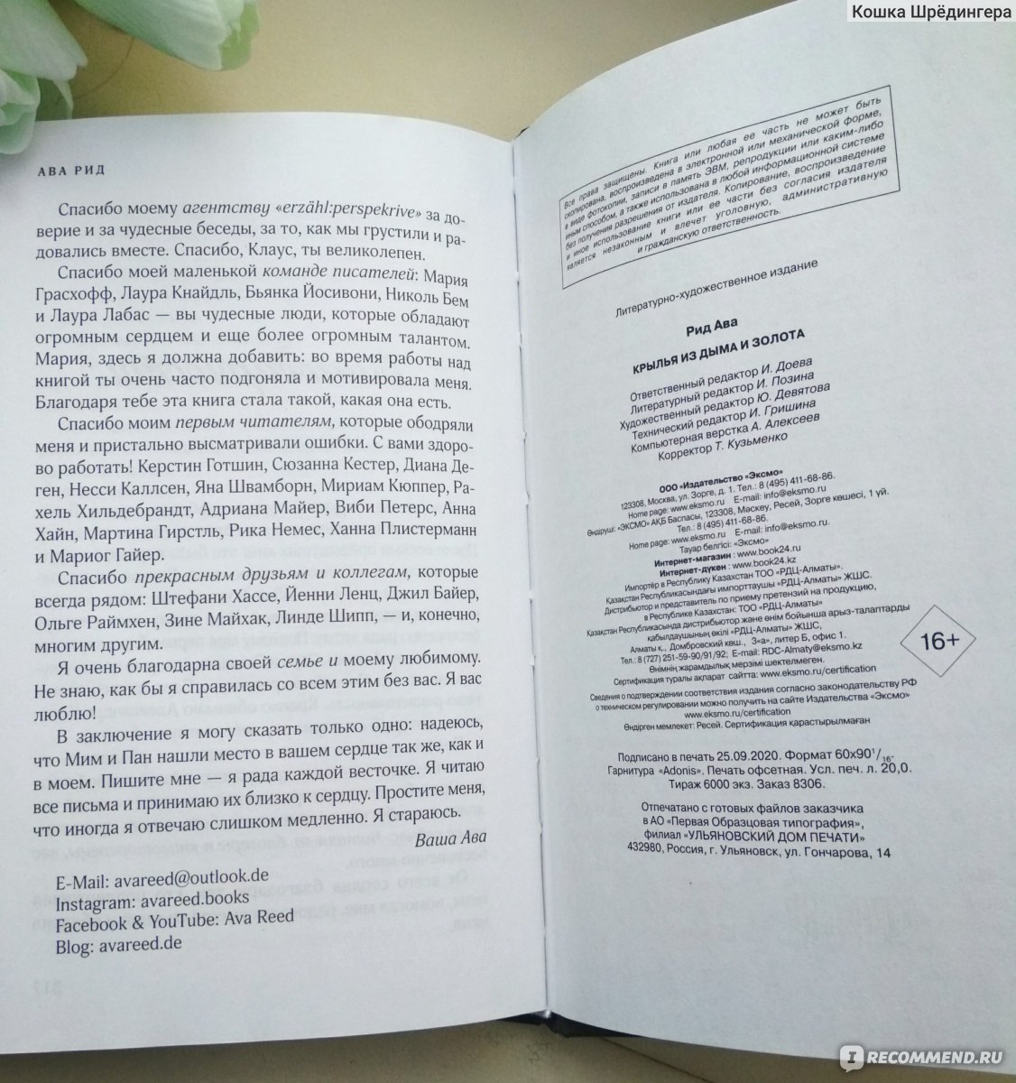 Пепел и души. Крылья из дыма и золота. Ава Рид - «Даже мрачные книжки могут  быть 