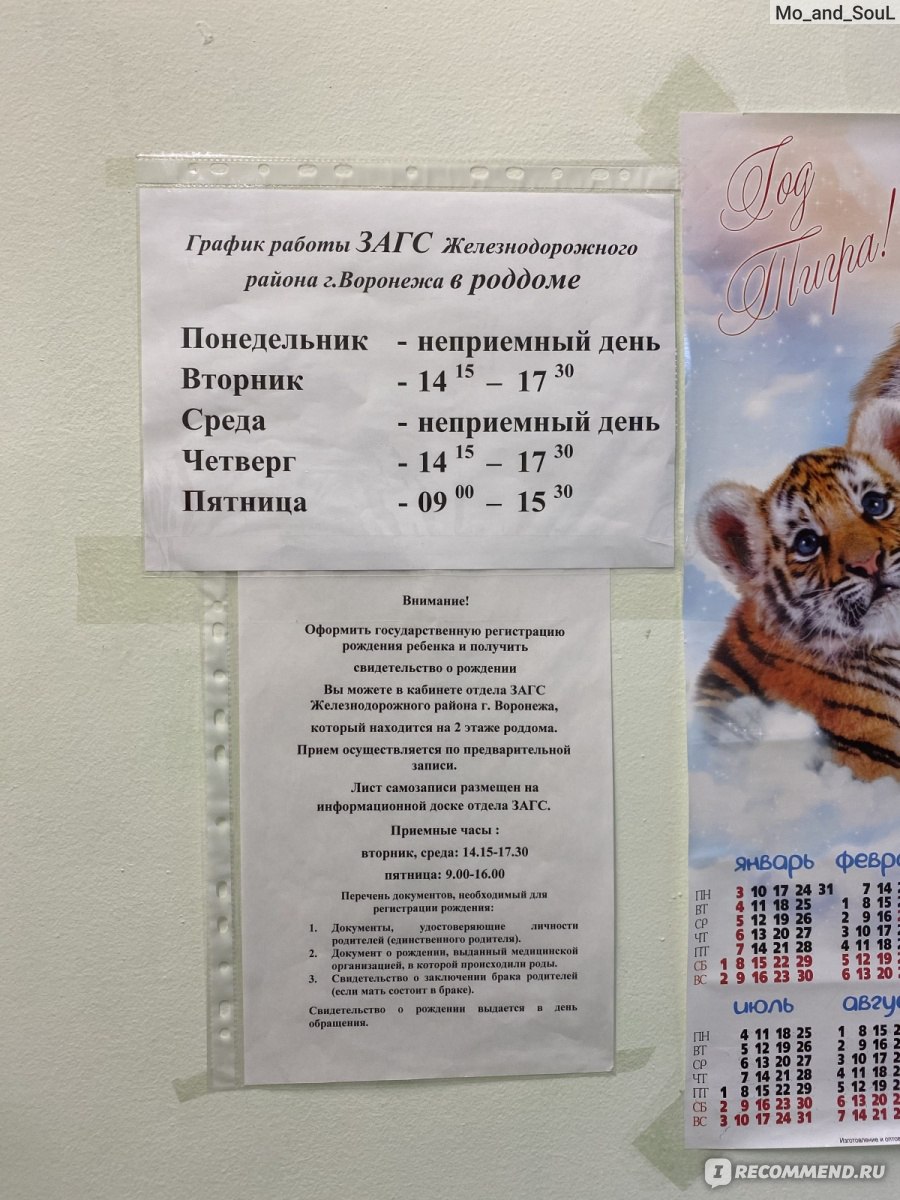 Роддом Электроника, Воронеж - «Все о роддоме Электроника. КС по полису ОМС.  Пролежала в разных отделениях, о каждом расскажу.» | отзывы