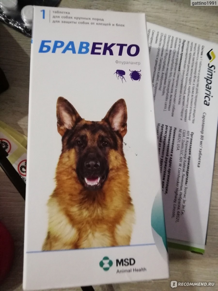 таблетка от блох и клещей для собак симпарика. от клещей на 3 месяца. бравекто таблетка для собак от клещей от 50 кг. R405. нексгард фронтлайн для собак 4-10.