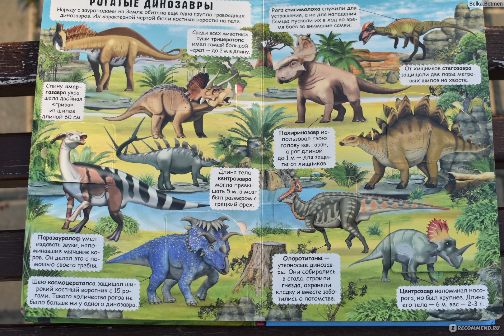 Как разговаривал паразауролоф, а у кого из динозавров самая длинная шея. 