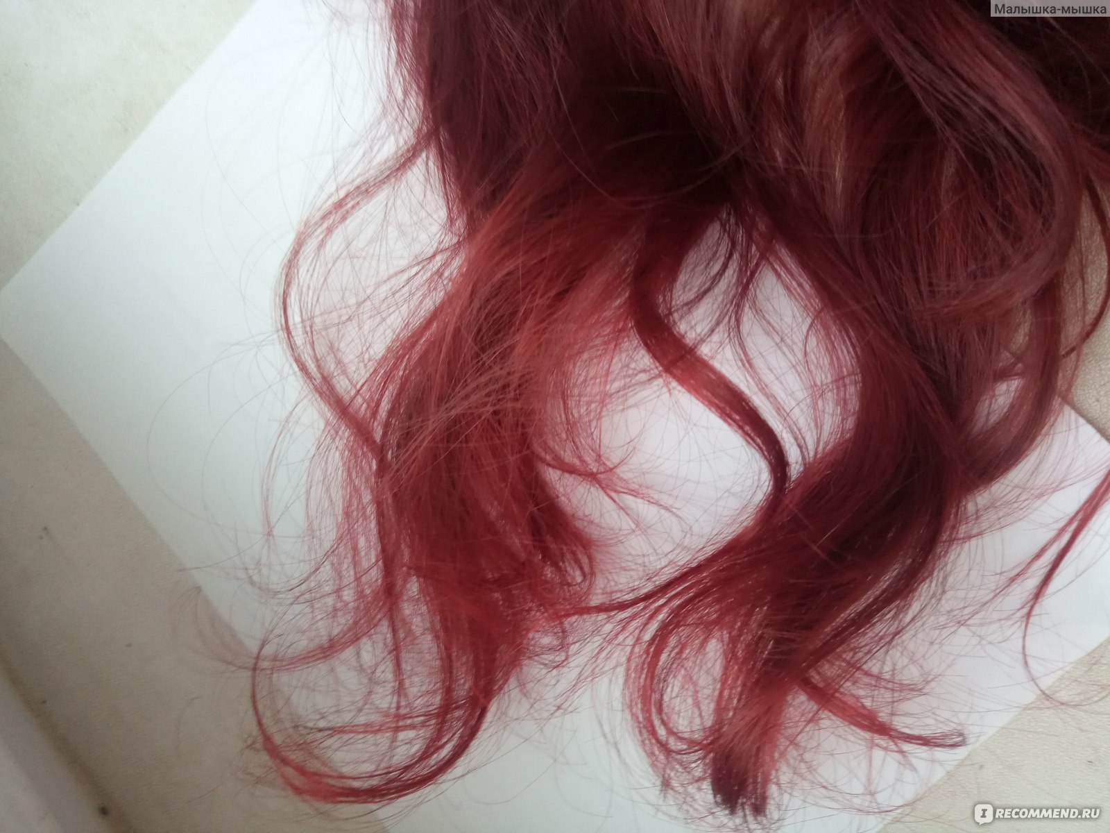 Красные волосы без осветления на темных волосах. Тоника 6.55 Bloody.