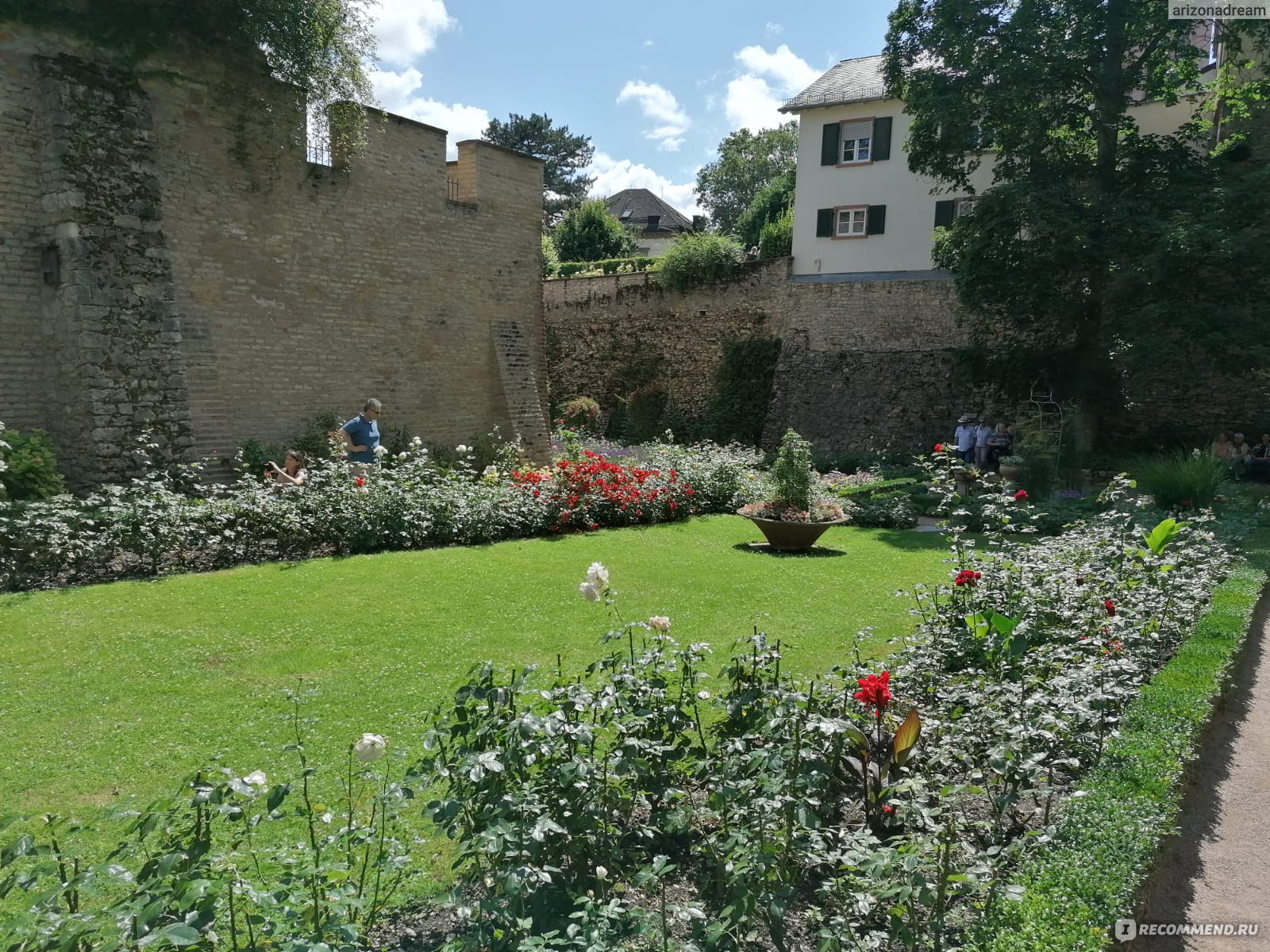 Сад роз Rosengarten, Eltville am Rhein, Германия - «Приехали сюда в  неудачное время- башня закрыта конструкциями и розы уже не свежие» | отзывы