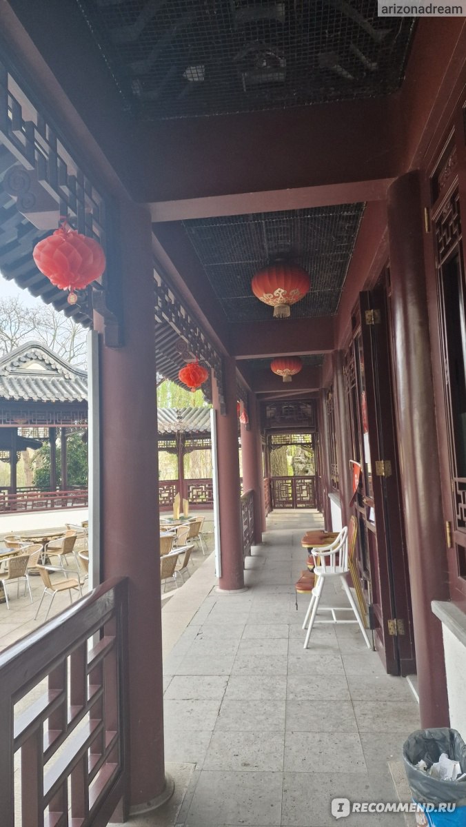 Китайский чайный дом China Tea House, Манхейм, Германия - «Впервые пили  знаменитый и дорогой китайский чай Black dragon в атмосферном китайском  ресторане с красивыми китайскими террасами и садом с камелиями🌹🌹🌹» |  отзывы