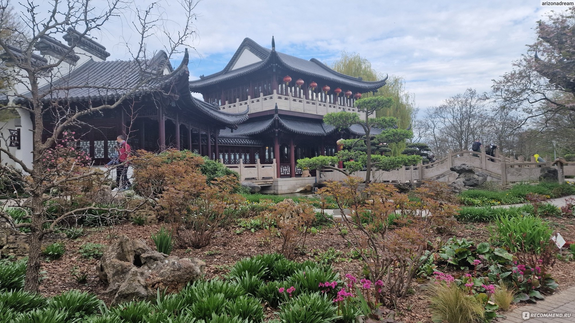 Китайский чайный дом China Tea House, Манхейм, Германия - «Впервые пили  знаменитый и дорогой китайский чай Black dragon в атмосферном китайском  ресторане с красивыми китайскими террасами и садом с камелиями🌹🌹🌹» |  отзывы