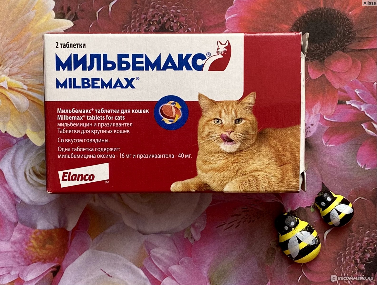 Elanco Мильбемакс для взрослых кошек