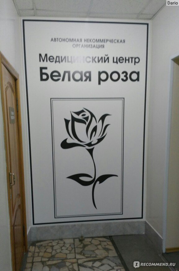 Рукавишникова 22 кемерово белая роза фото
