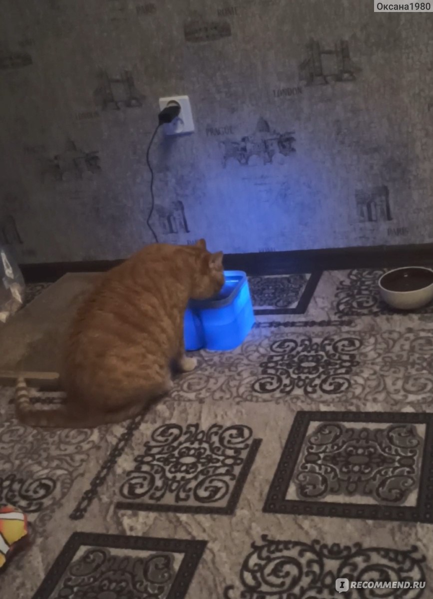 Автоматическая поилка-фонтан 1 All Systems Питьевой фонтан для кошек -  «Лучше способа заставить кошку пить воду не придумали» | отзывы