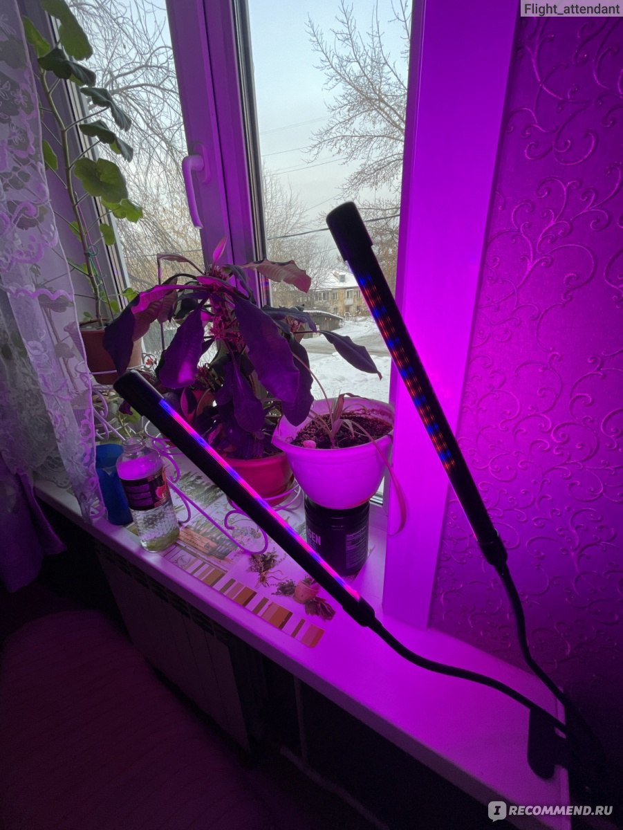 Светодиодная лампа для растений Led Grow Light С таймером фото