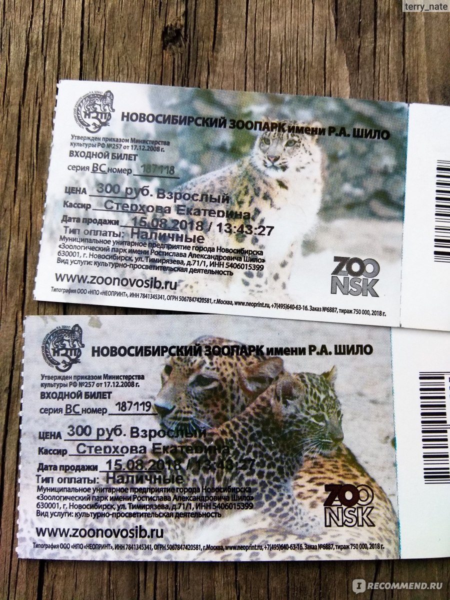 Московский зоопарк билеты стоимость в выходные. Билеты в Новосибирский зоопарк. Взрослый билет в Новосибирский зоопарк. Зоопарк в Новосибирске расписание.