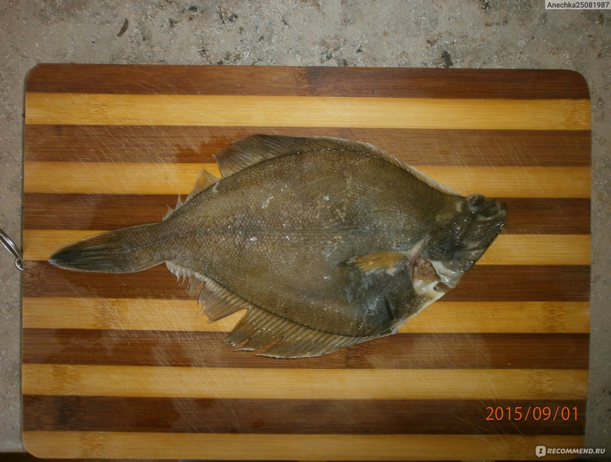 Камбала костлявая рыба