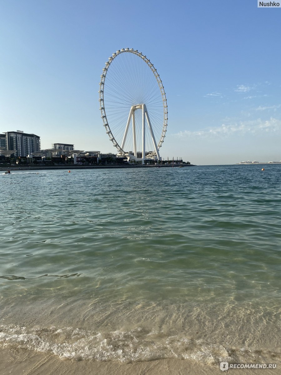   Ain Dubai    - Ain Dubai          -     