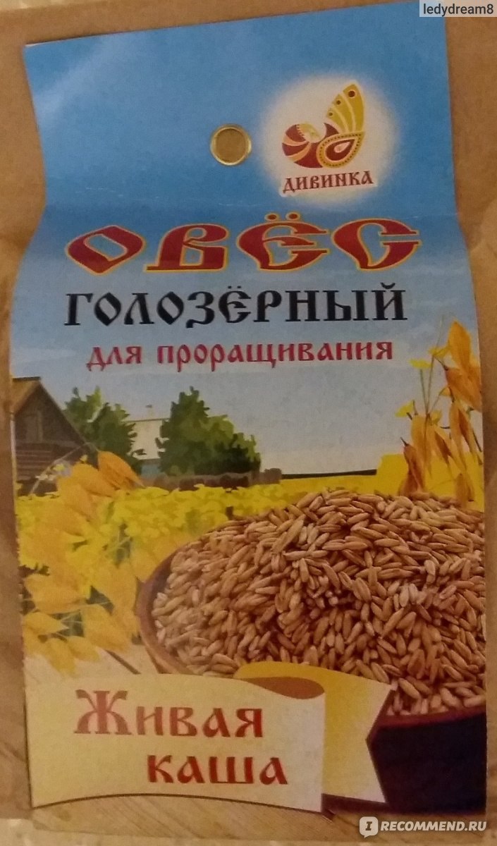 Как прорастить овес в домашних условиях для еды: пошаговая инструкция