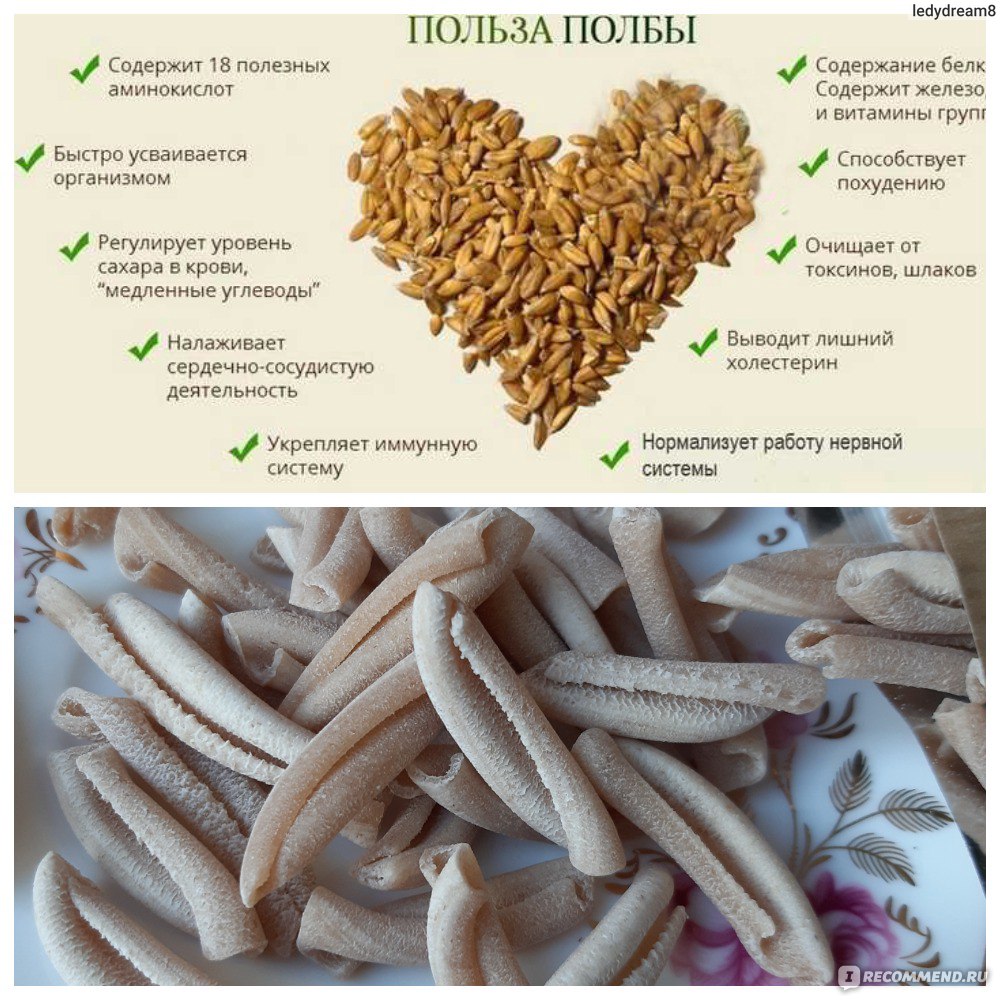Глютен польза. Полба глютен. Полба содержит глютен. Содержание глютена в полбе. Пшеница содержит глютен.