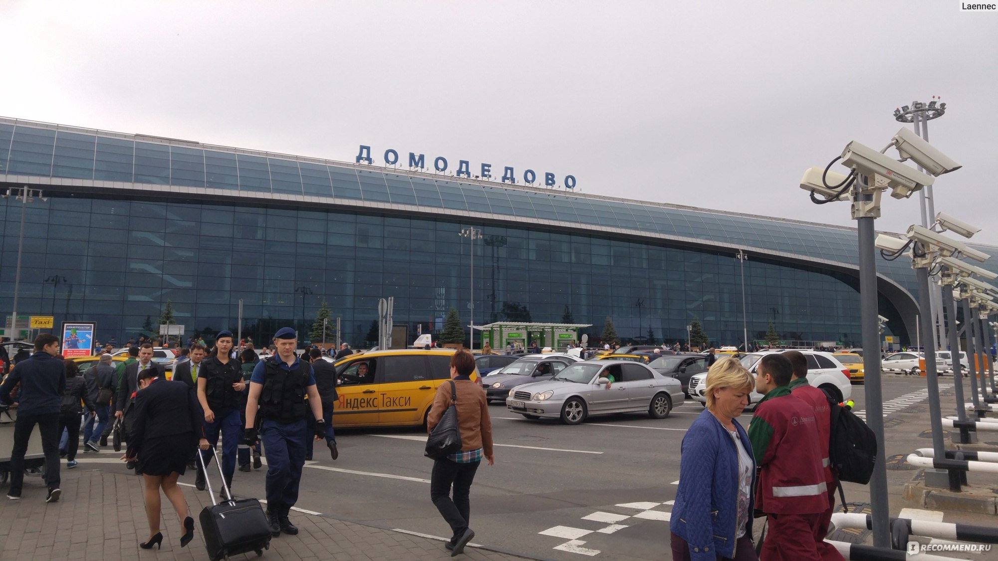 аэропорт домодедово сегодня