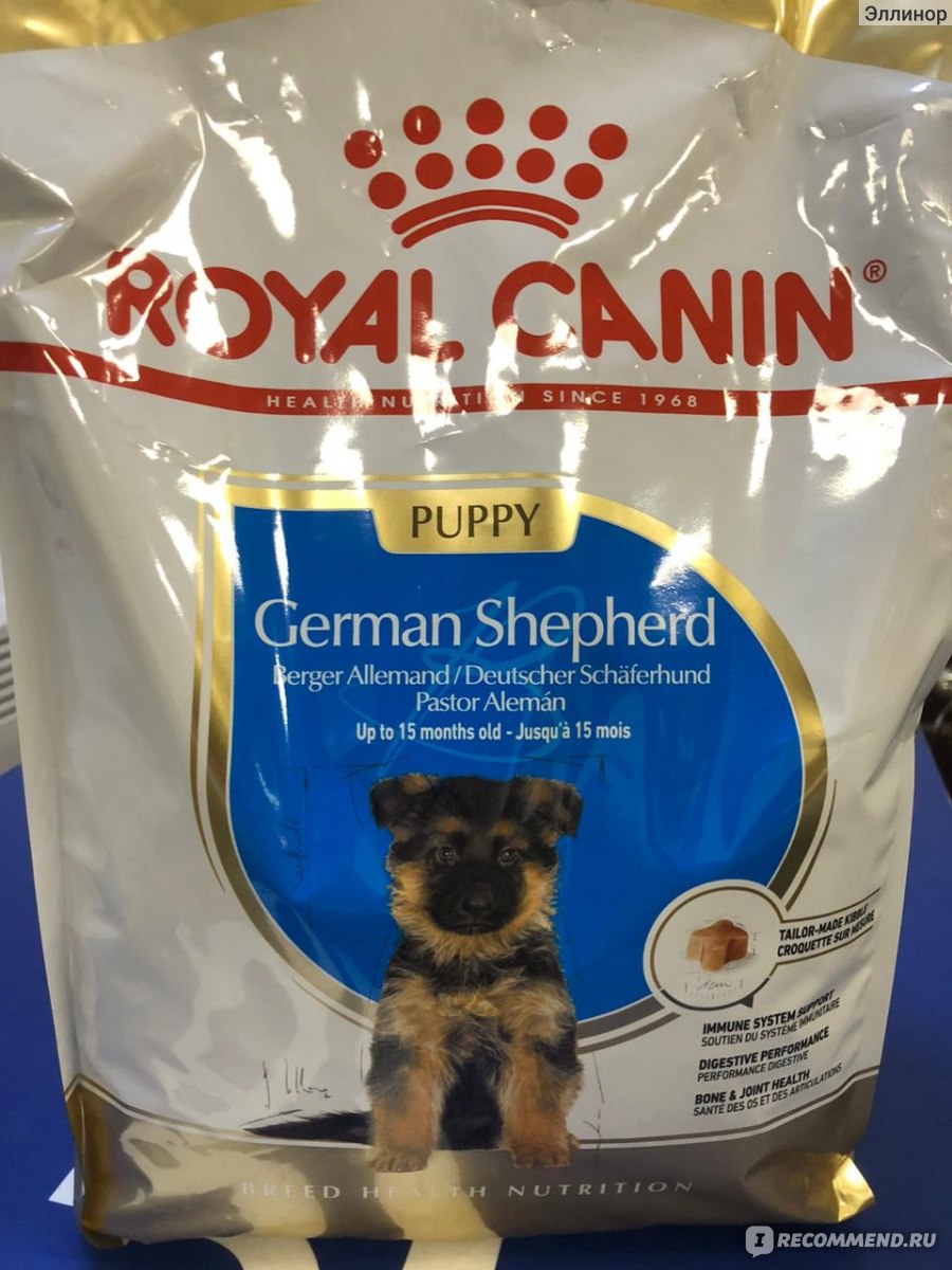 Royal canin breed 2024 german shepherd junior