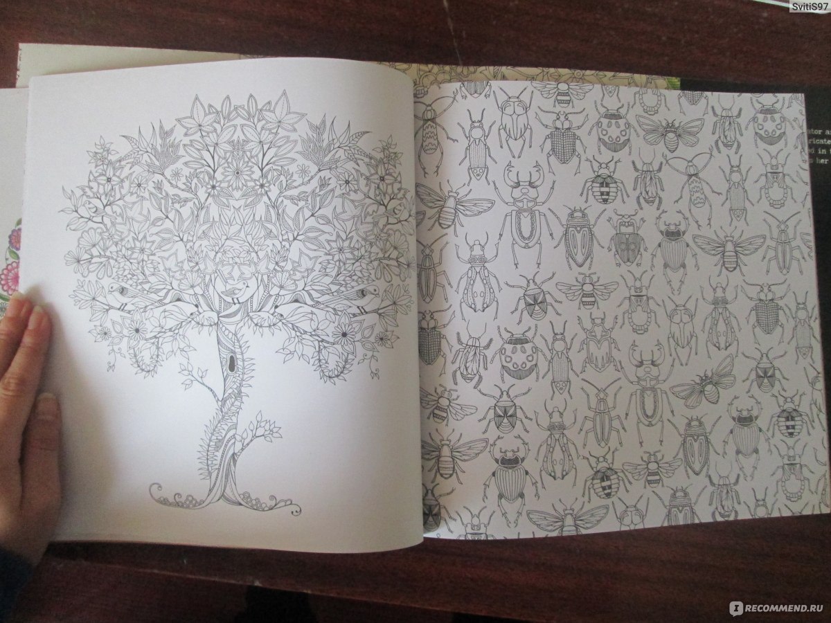 Птичья страна чудес: секретный сад живопись Академия серия раскраска книга 2bk | AliExpress