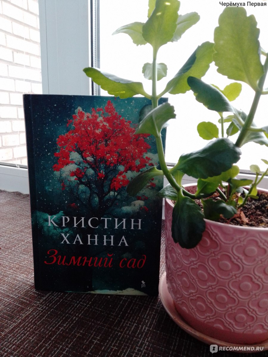 Зимний сад. Кристин Ханна - «Ужасы блокадного Ленинграда глазами  американской писательницы. Увы, не без недостатков. » | отзывы