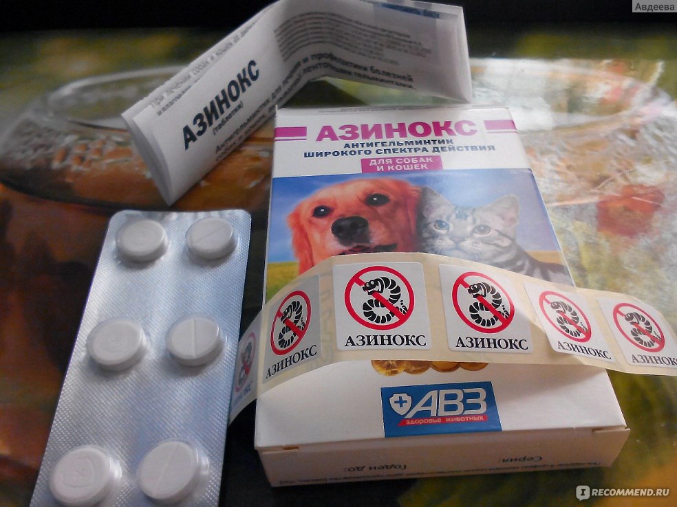 Как проглистогонить собаку. Таблетки от глистов для собак Azinoks Plus. Препарат ветеринарный азинокс. Лекарство от глистов для собак азинокс. Средства от гельминтов для животных.
