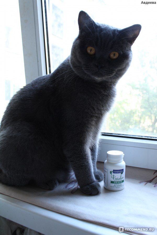 витамины для кошек отзывы