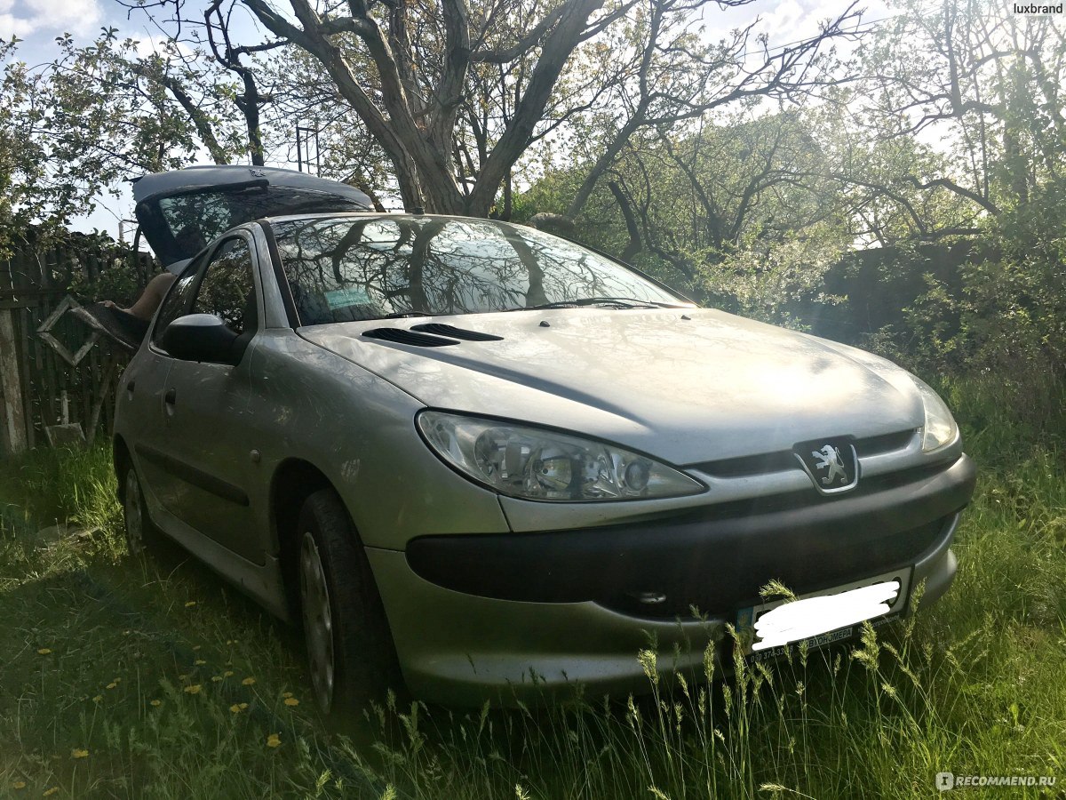 Peugeot 206 Хетчбек - 2006 - «Любовь не с первого взгляда или что ожидать  от малышки-пежо» | отзывы