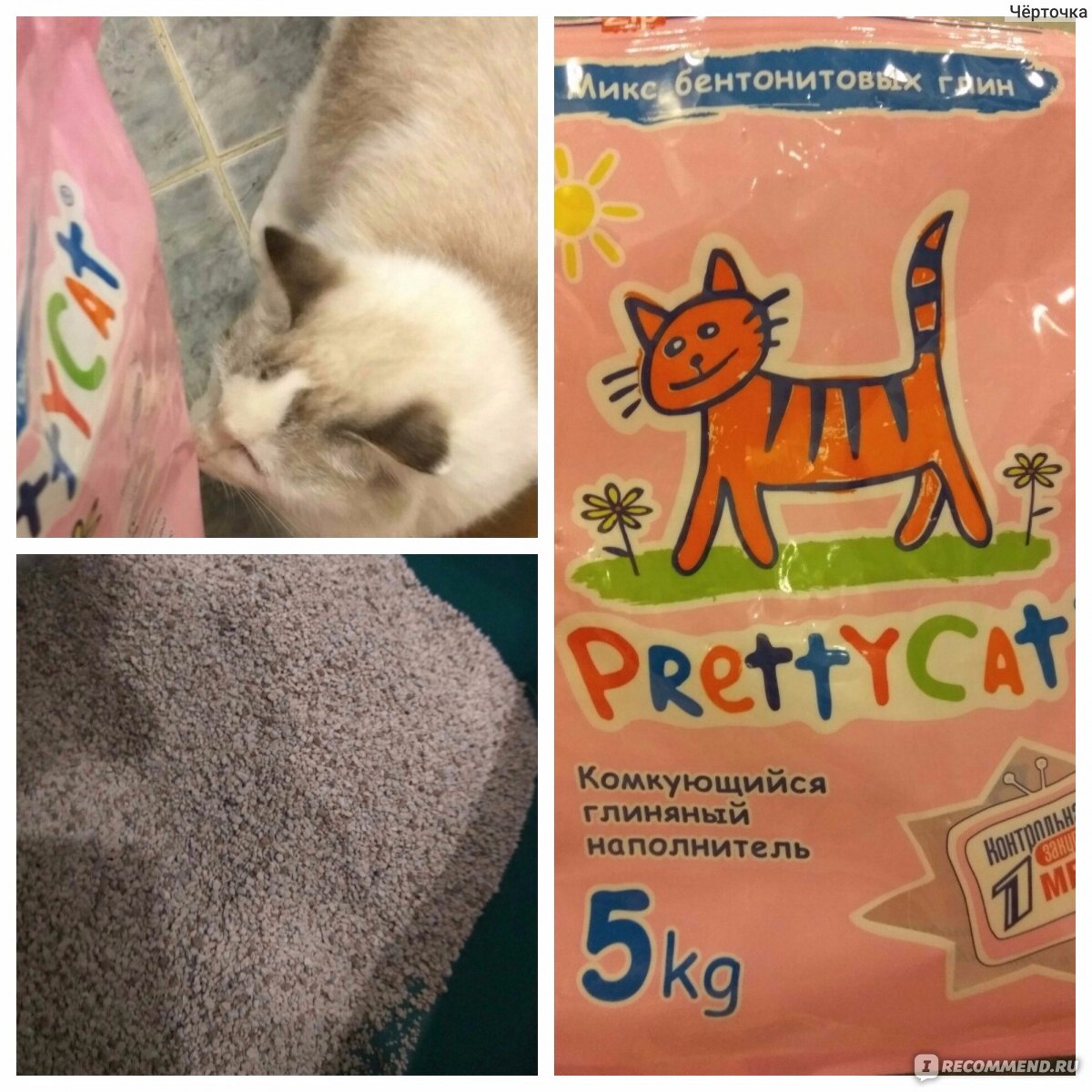 Наполнитель для кошачьего туалета prettycat