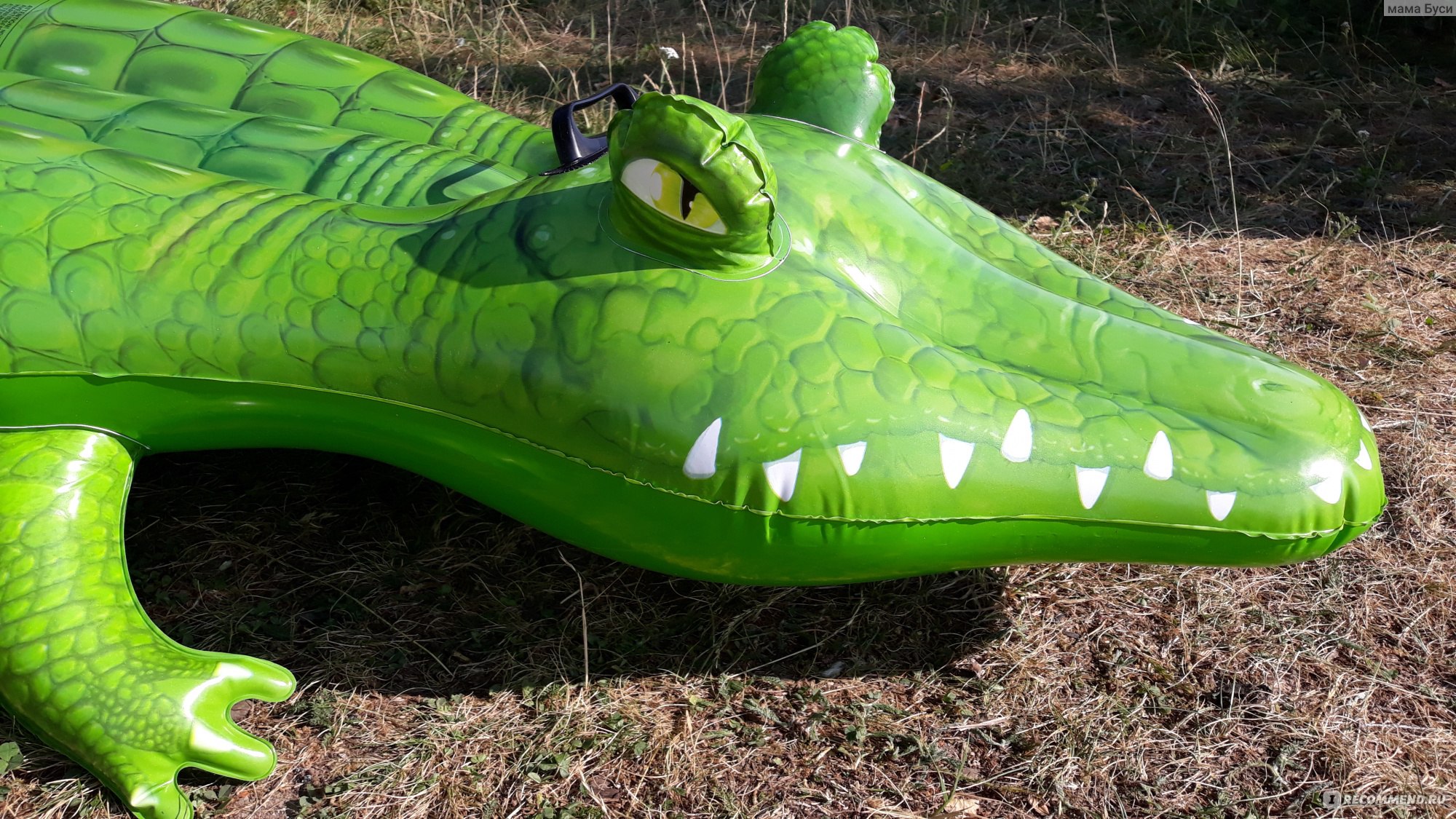 Зеленый Крокодил Интернет Магазин
