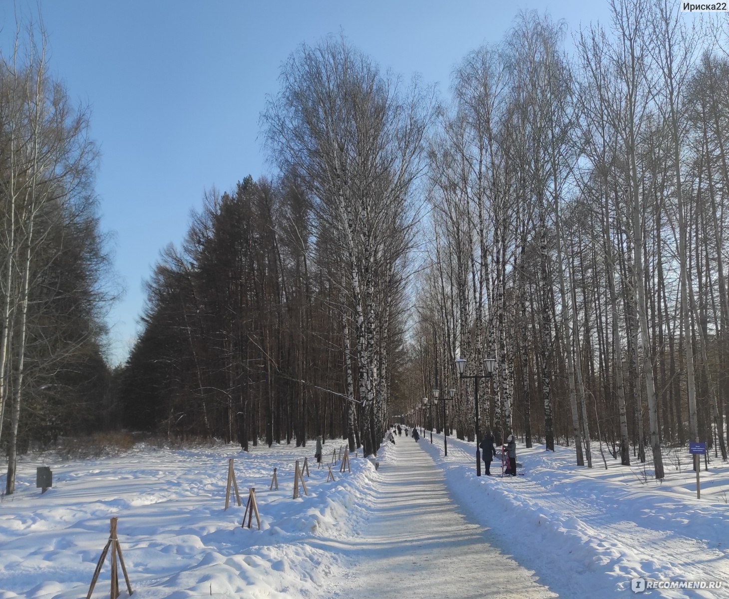 Парк Сосновая роща, Йошкар-Ола - «Островок живой природы в черте города. »  | отзывы