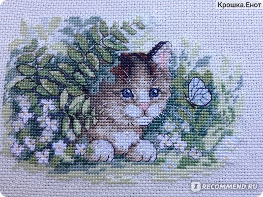 Схема вышивки «Котик с бабочкой» (№417837)