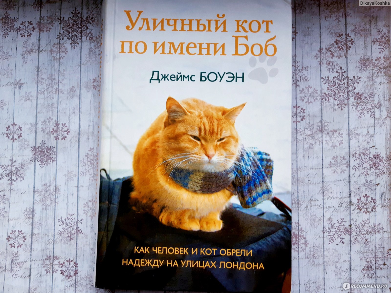 Кот боб книга. Боуэн Дж уличный кот по имени Боб. Кот Боб и Джеймс Боуэн. Уличный кот Боб книга. Уличный кот по имени Боб Автор.