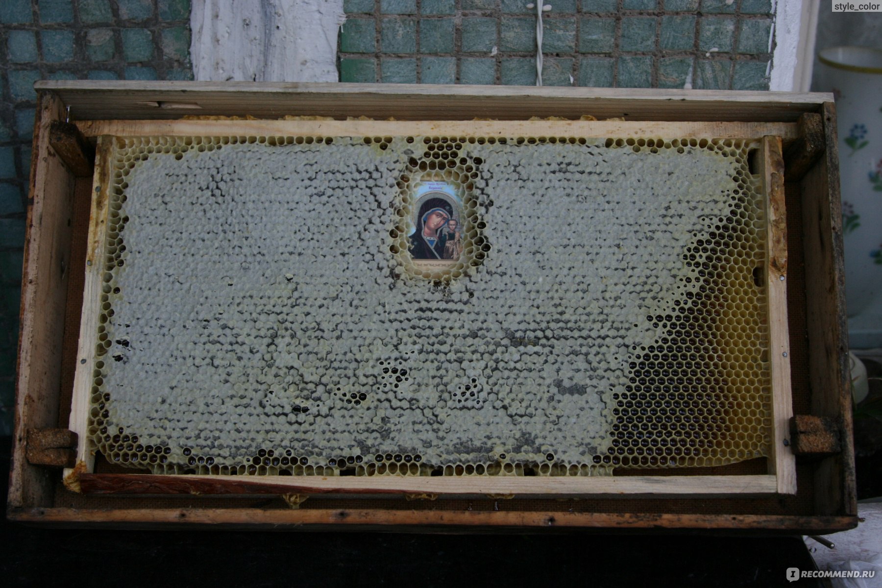 Чудо на Святой горе Афон пчелы