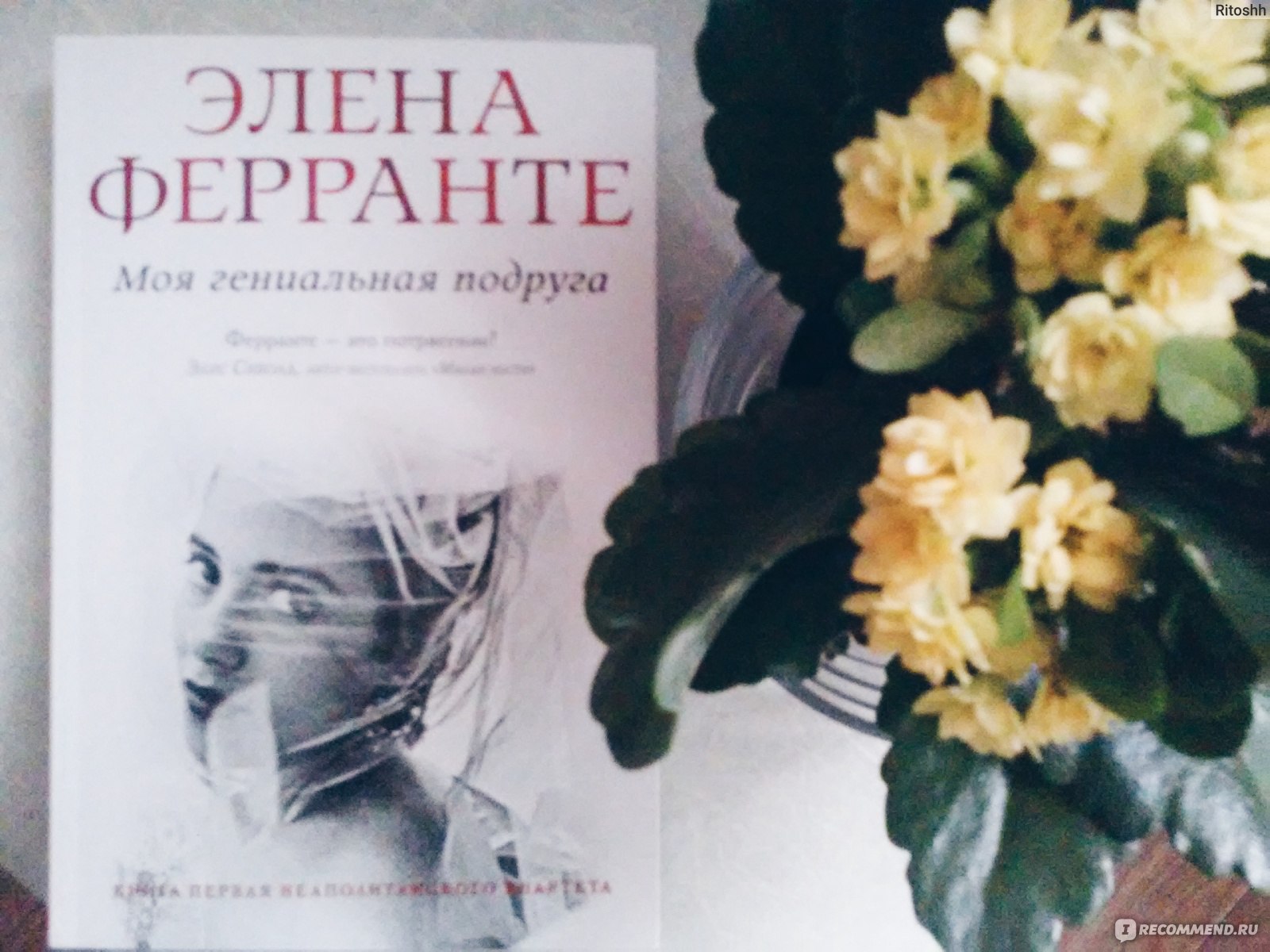 Элена ферранте моя подруга. Элена Ферранте моя гениальная подруга. Книга моя подруга. Гениальная подруга книга. Елена Ферранте моя гениальная подруга.