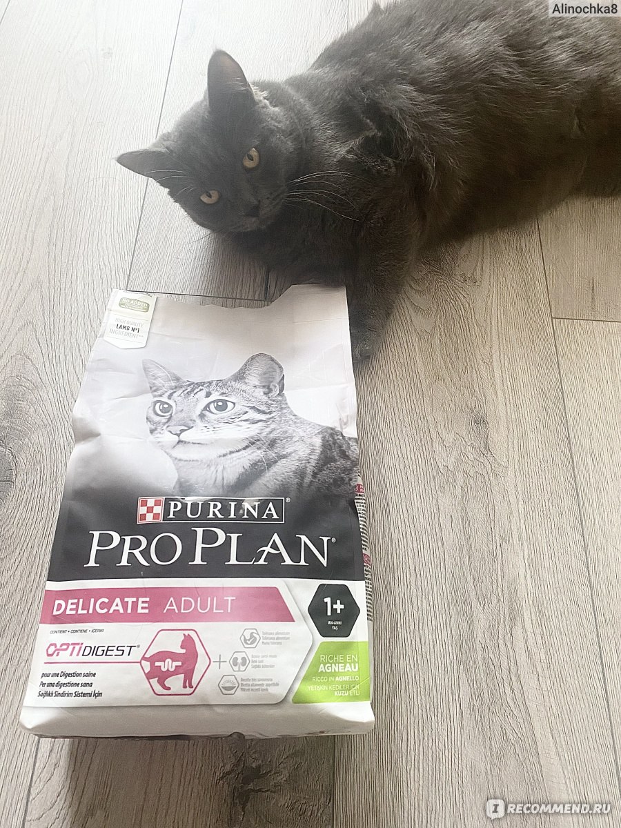 Корм для кошек Purina Pro Plan Delicate - «Pro Plan Delicate: подробный ...