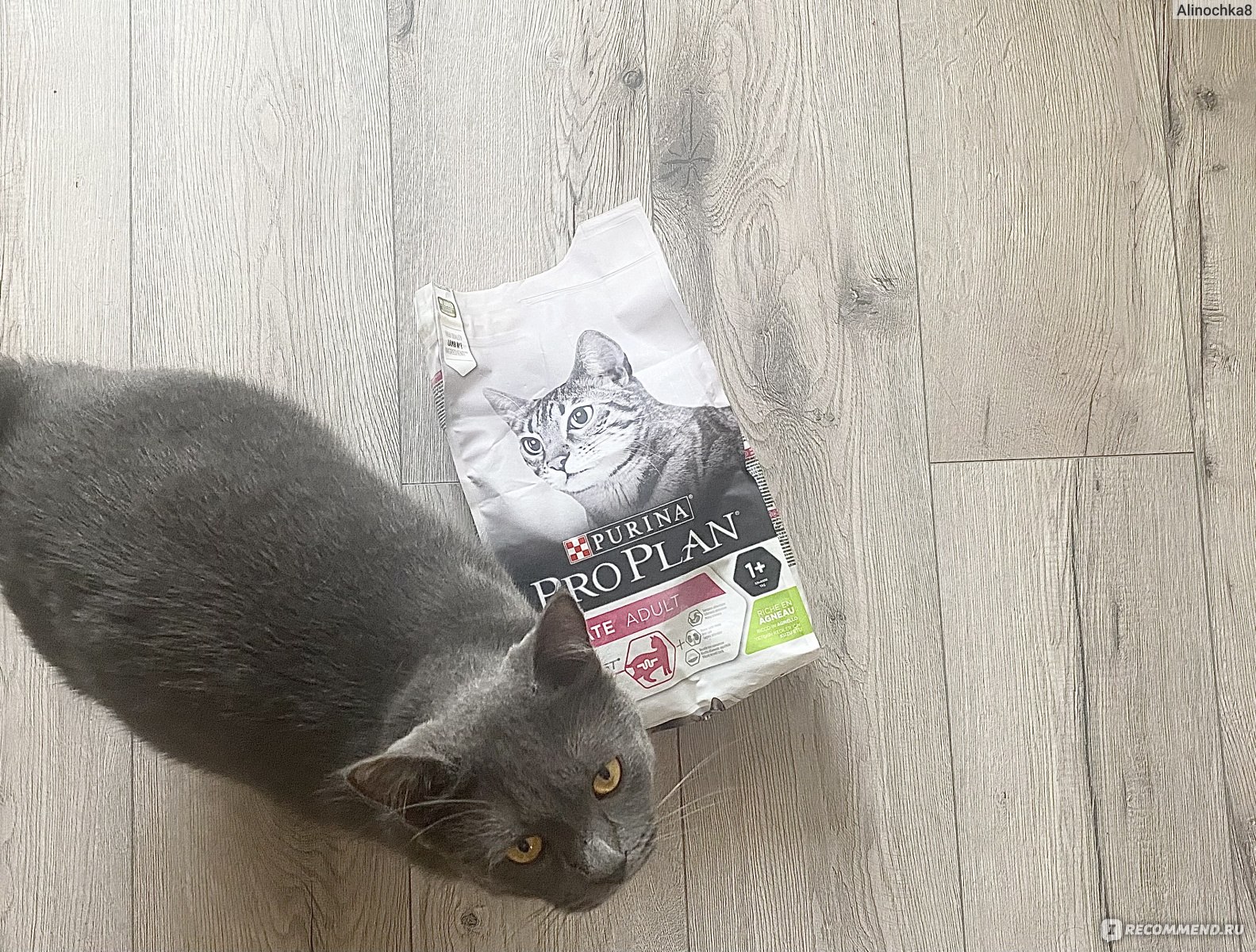Корм для кошек Purina Pro Plan Delicate - «Pro Plan Delicate: подробный ...