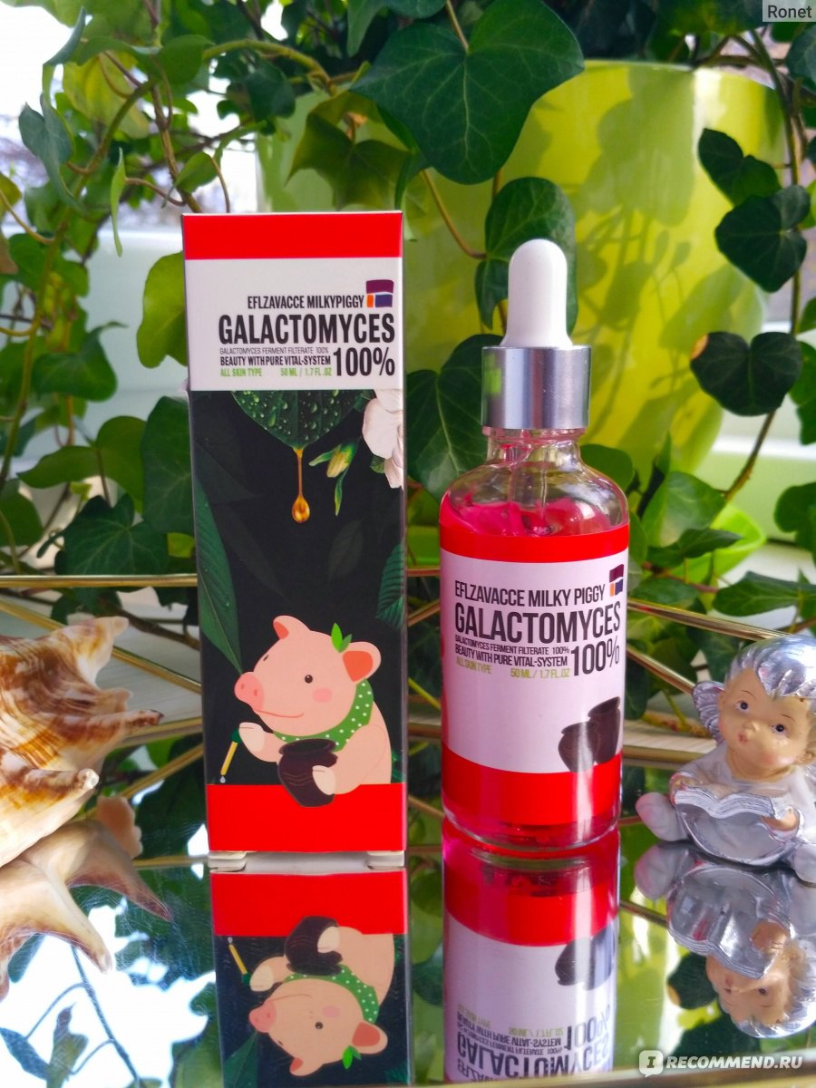 Сыворотка для лица Eflzavacce Milky Piggy Galactomyces Ferment Filtrate 100% фото